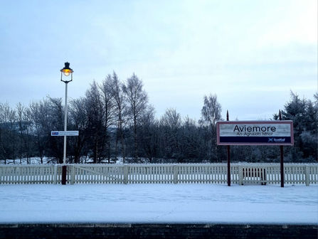 Season Diary - Day 7