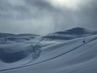 Ski tracks leading down an otherwise untouched slope, in a natural monochrome flat light