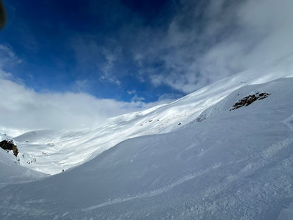 Anatomy of a Fall: Learning From Avalanches in the Field
