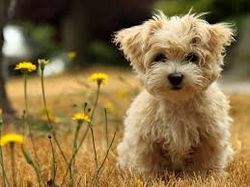 images (52)