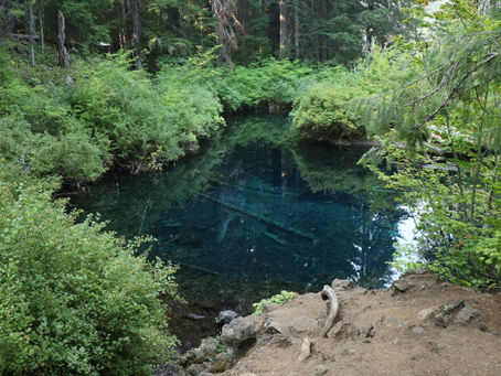Day 87: McKenzie River and Highway 126