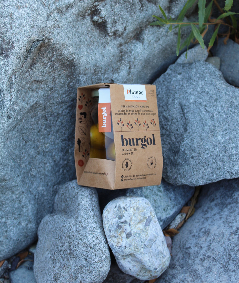 burgol fermented cheese - queso burgol- queso vegano