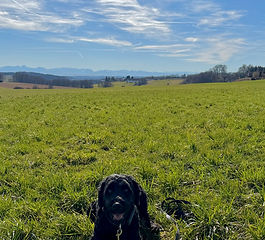 Lieblingsbild des Monats: 