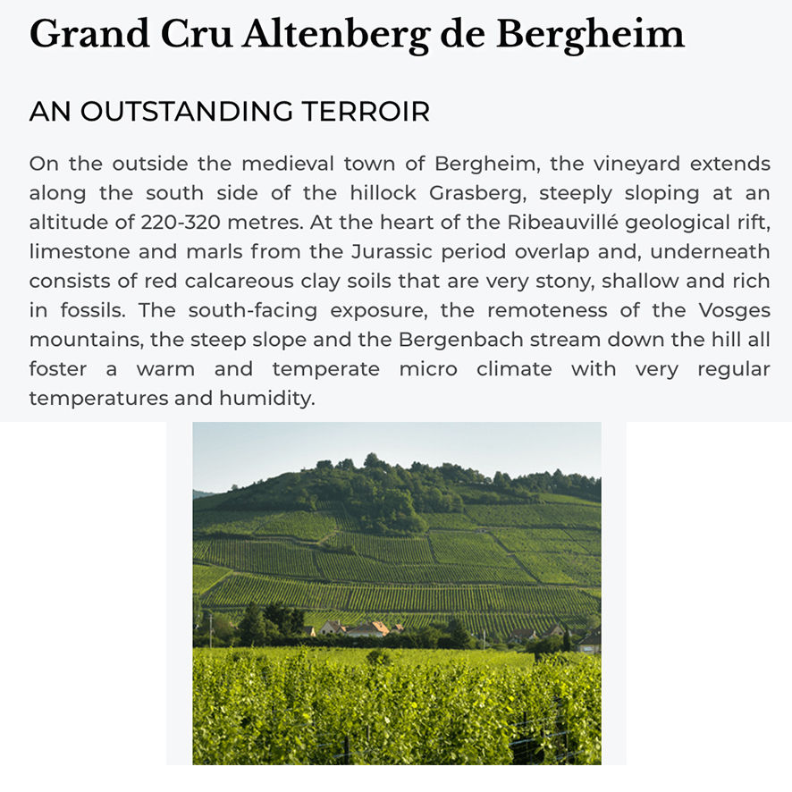 Miniatura: GUSTAVE LORENTZ - Pinot Gris Gran Cru Altenberg De Berhein