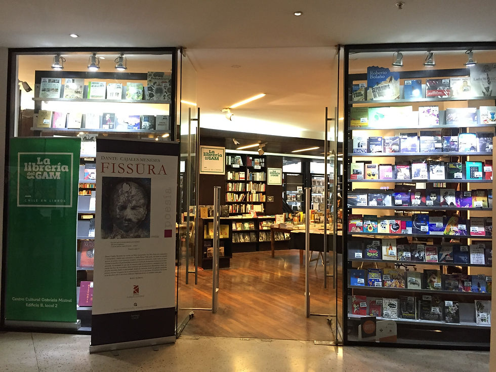 Presentación Fissura