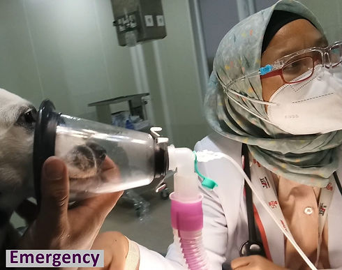 Emergency