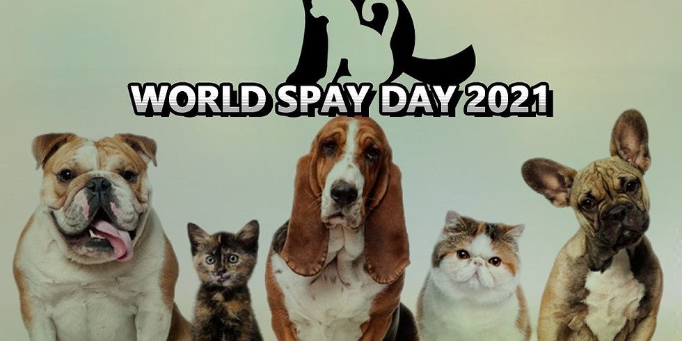 World Spay Day 2021