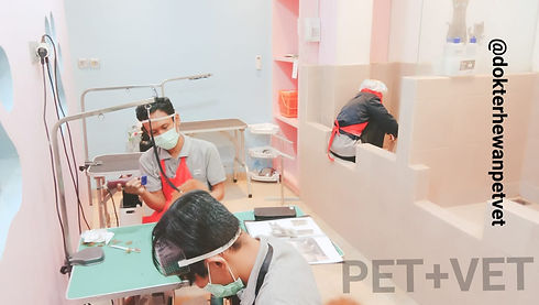 Grooming Room