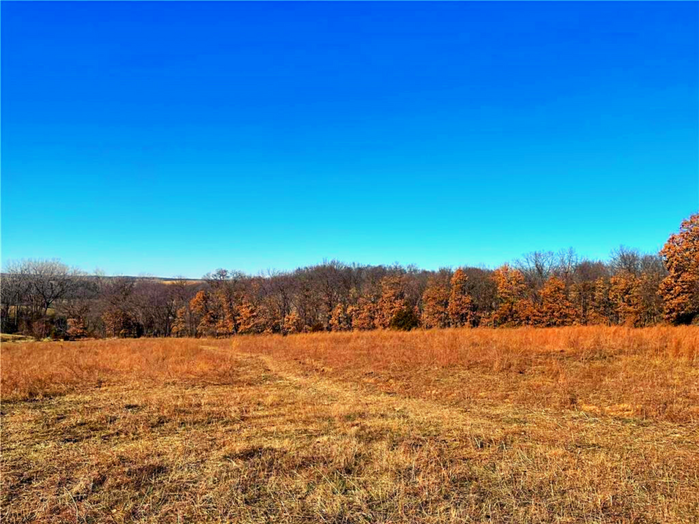 SOLD 110+/ Acre Hard to Find Southern Buchanan County Farm