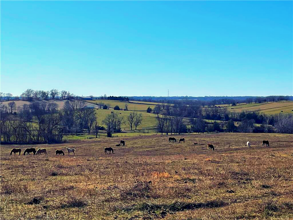SOLD 110+/ Acre Hard to Find Southern Buchanan County Farm