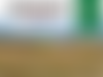 88+/- Acres. Gentry County Missouri CRP/Timber/Pond Excellent Hunting