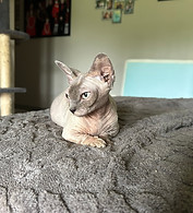 IMG_7196.jpeg