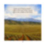 Children's books that inspire skills: Palawai Basin fields.