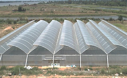 Greenhouse-HIW-19.png