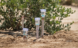 soil moisture sensors