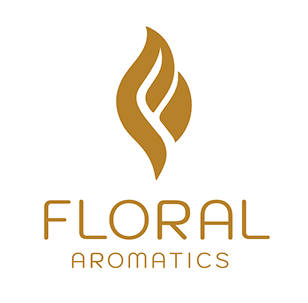 logo11.png