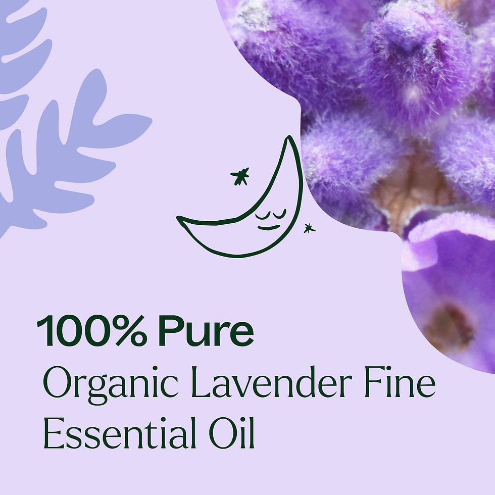 Thumbnail: Plant Therapy Lavender Fine Essential Oil  1/3oz