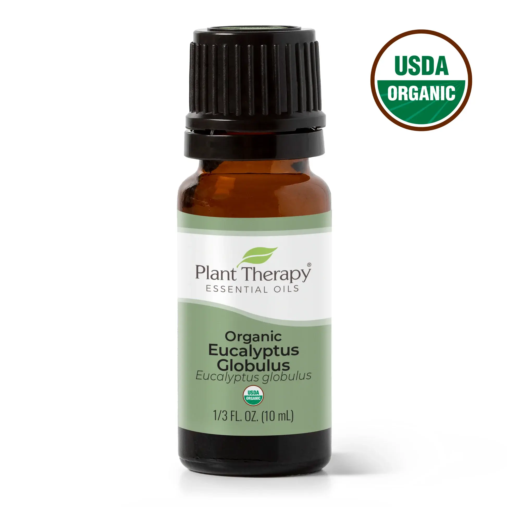 Plant Therapy Organic Eucalyptus Globulus Essential Oil 1/3oz