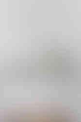 2505 Seaside Ln - Beachtown Galveston Vacation Beach Home Rental