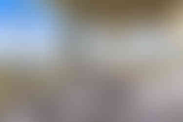 1650 Beachtown - Porch - Galveston Beach House Rental