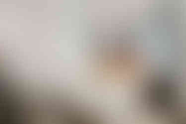 809 Beachtown Passage - Guest Bedroom - Galveston Beach Vacation Rental