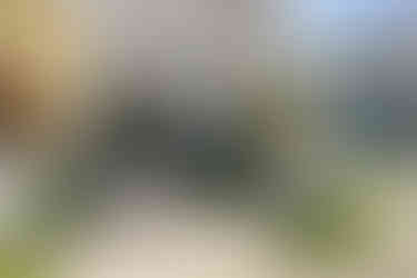 2449 Seaside Ln - Beachtown Galveston Beach Vacation Rental