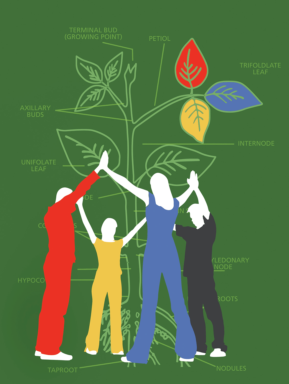 Software 06 complete logo with leaf colors.gif