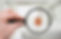 Control pest concept. Hand with a magnifying glass and insect.jpg