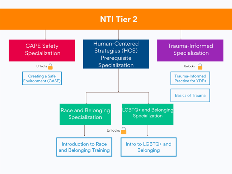 NTI Tier 2 graphic.png
