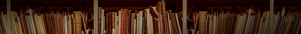 library2_edited.jpg