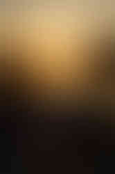 533084D3-1484-4310-9207-2DBD75FB5EAC-80632-00000DC5C4E75B29