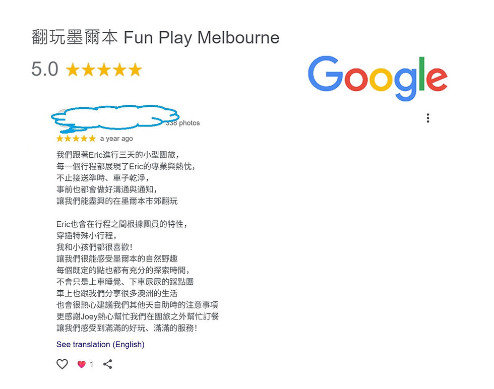 Google Excellent Review 01