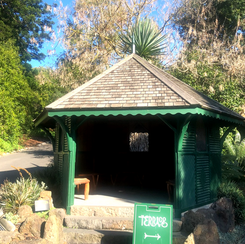 墨爾本皇家植物園