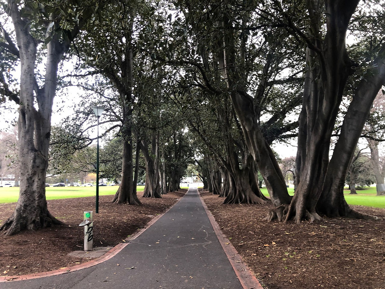 墨爾本市區景點