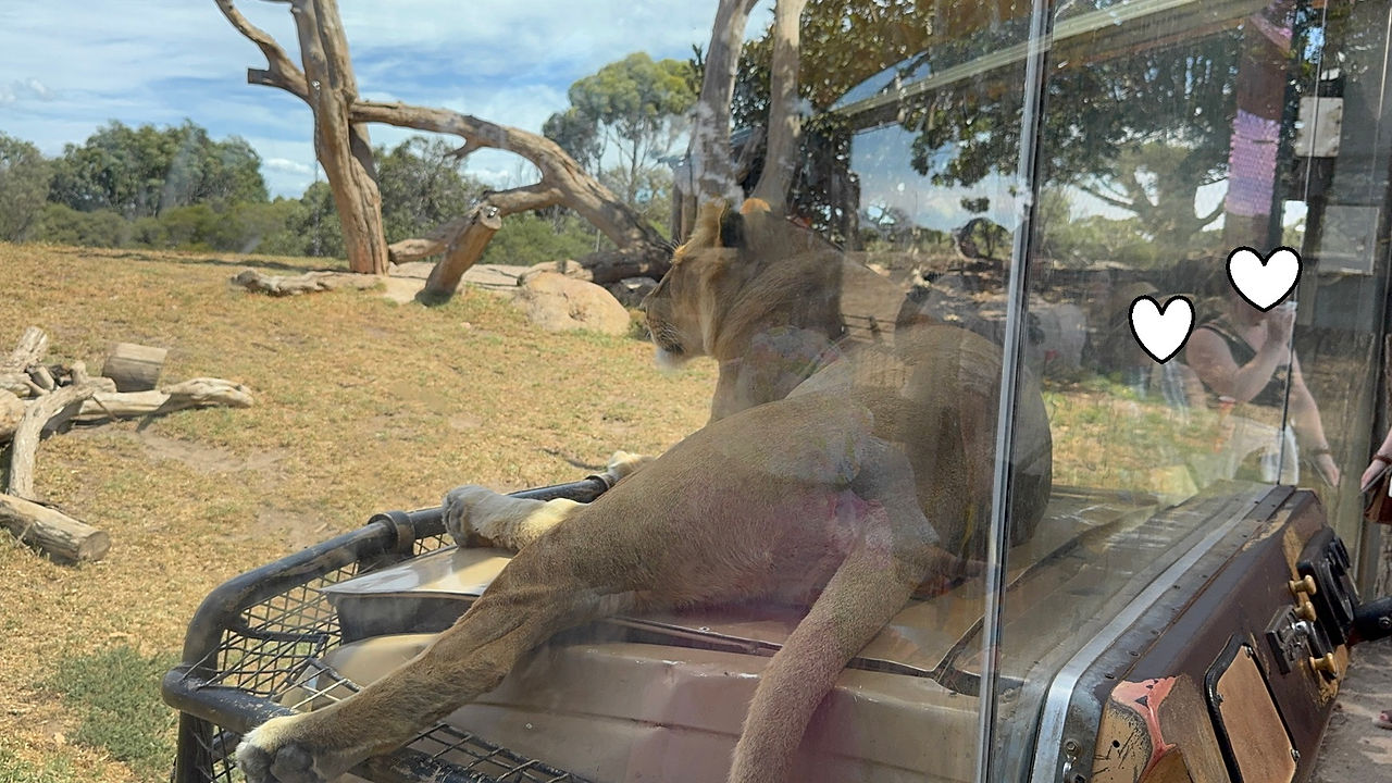 野生動物園