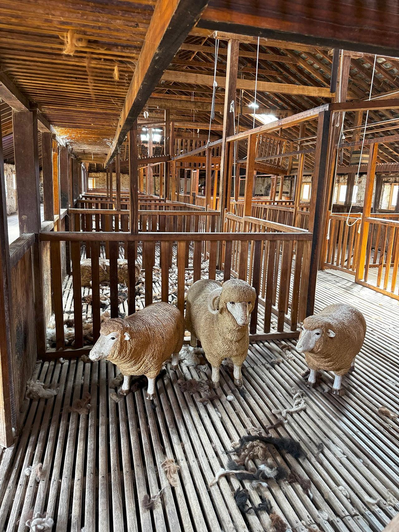 野生動物園