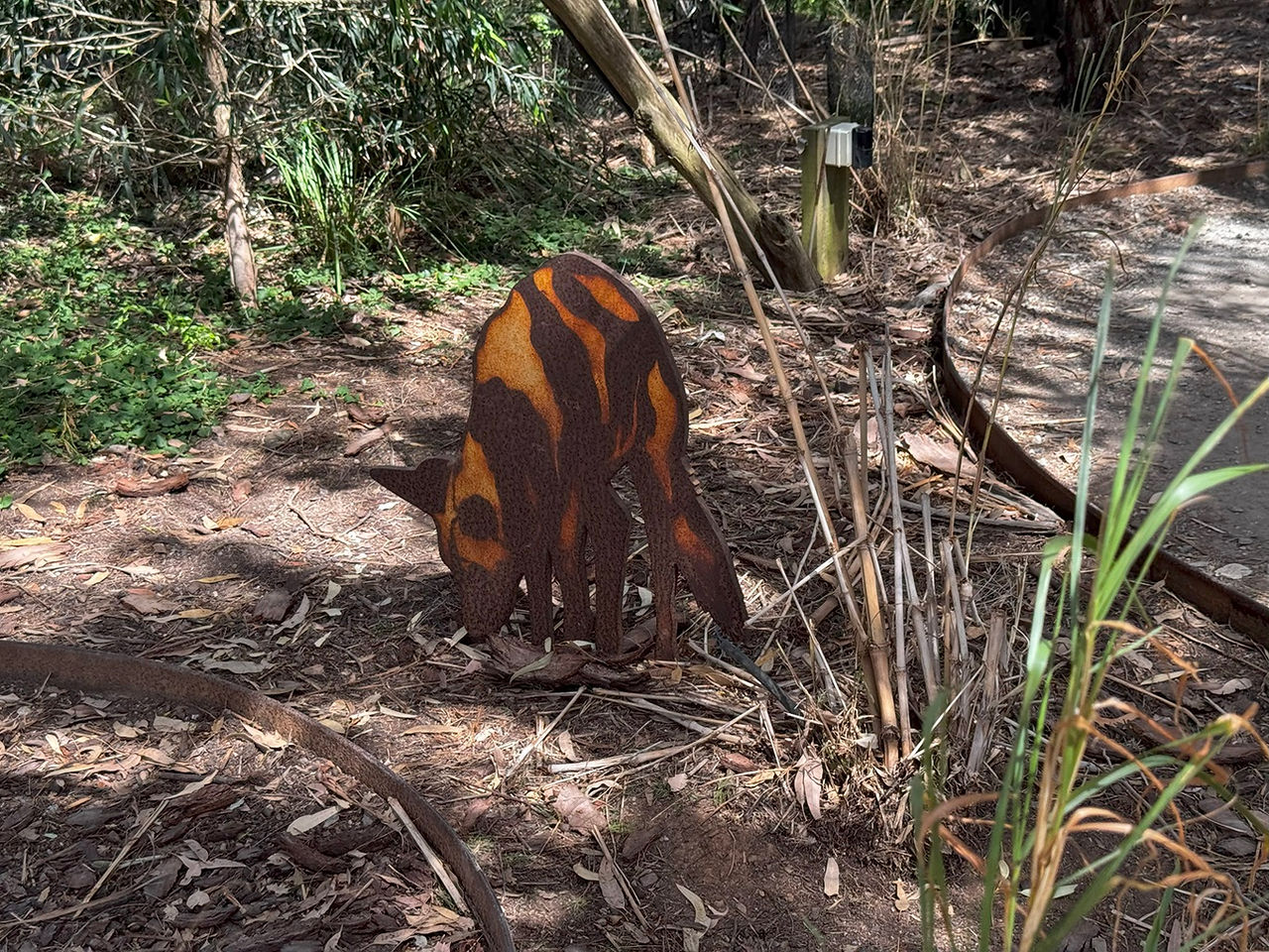 野生動物園