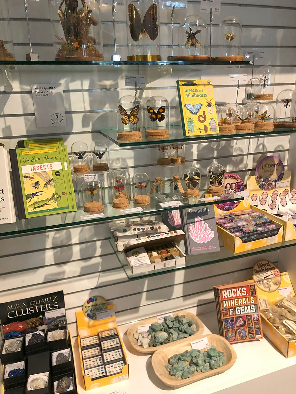 墨爾本博物館