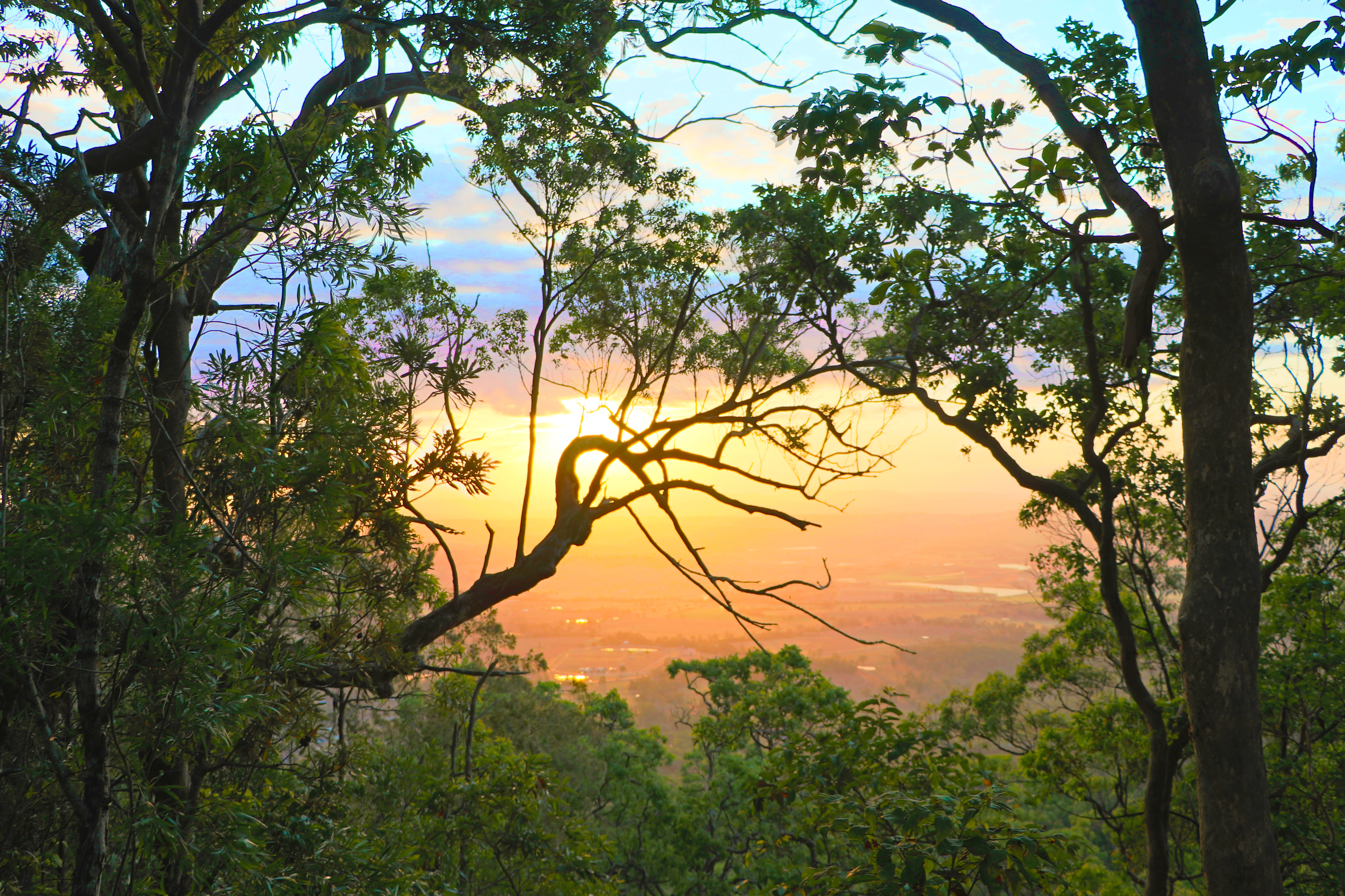 Tamborine Mountain Sunset