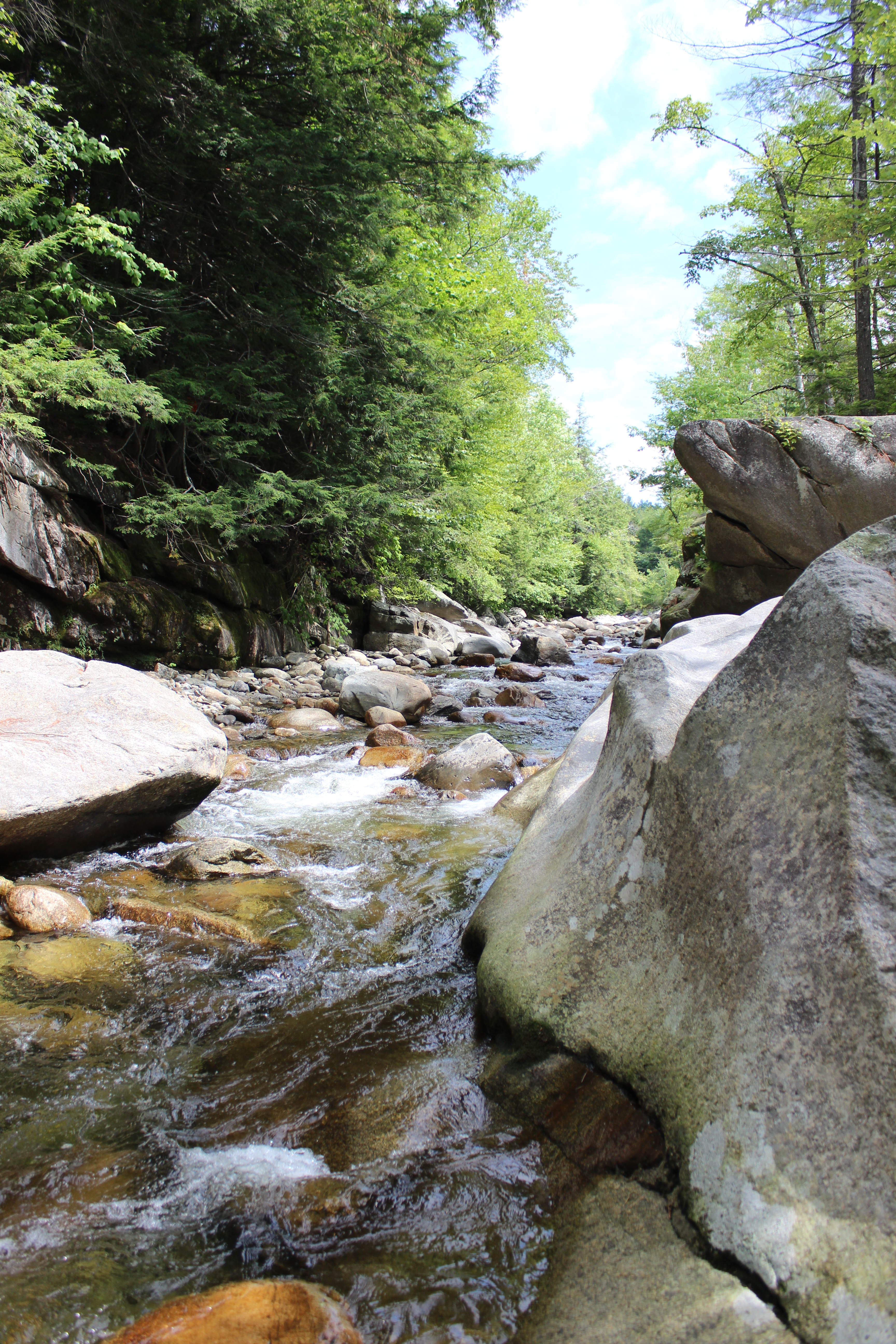 White Mountains