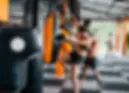 Fitness Influencers