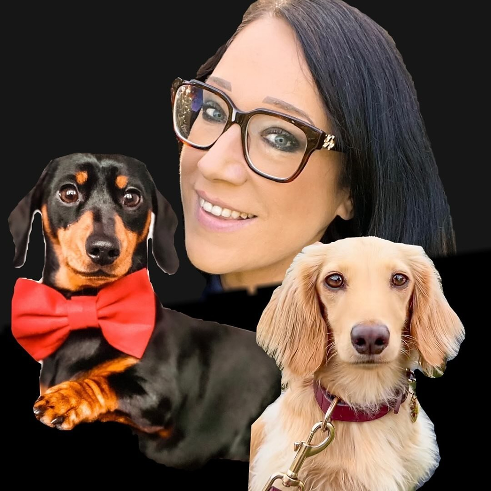 Sid & Nancy - Top Uk_Pet Influencer