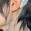 Thumbnail: Ear cuff Wings+ (Royal Paladins)