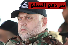 أيمن_نوفل.png