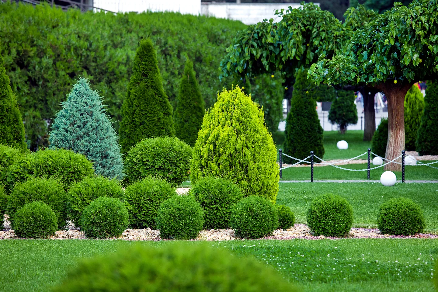 Our Blog Meadowlark Landscaping & Design Wichita