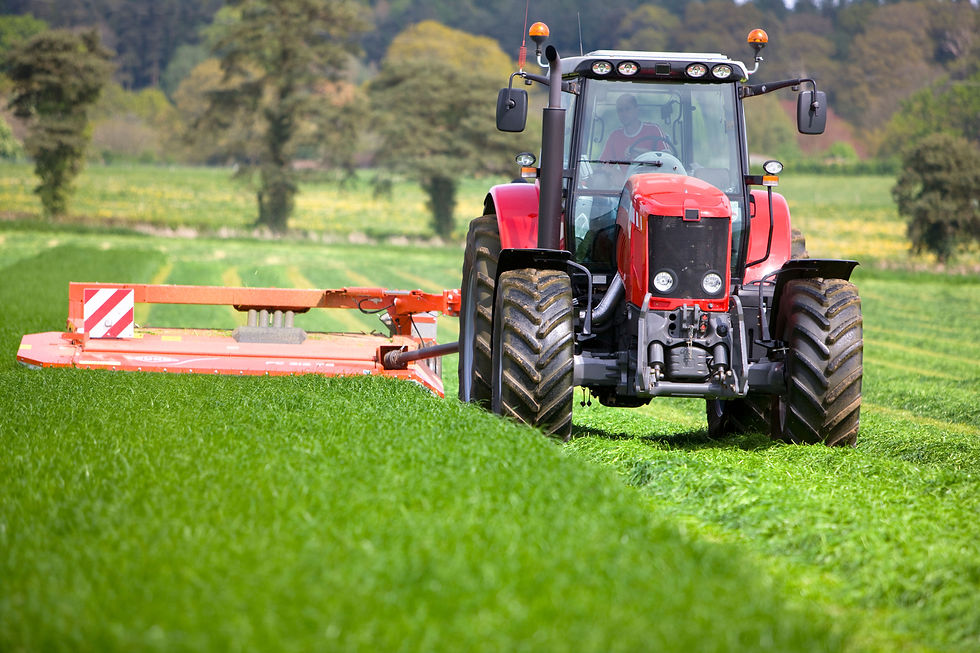 The image shows a red tractor mowing tall green grass in a field