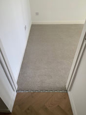 Light grey carpet transitioning to wood flooring at a room doorway