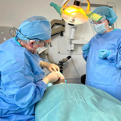Patient in dental chair