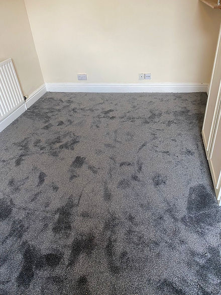 An empty room showing newly fitted dark grey carpet cream walls