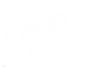 Add-a-heading-2025-05-12T110318.192-1024x768.png